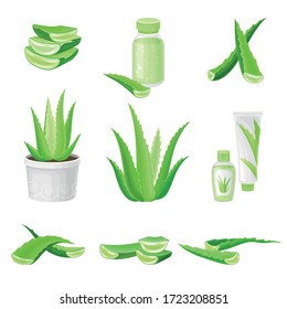 Aloe Vera as Ingredient for Cosmetic Products Vector Set