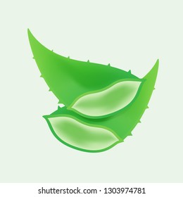 aloe vera isolated on soft green, clip art of aloe vera leaves, aloe vera for icon logo ingredient cosmetics cream products, illustration realistic clip arts of aloe vera pieces (vector)