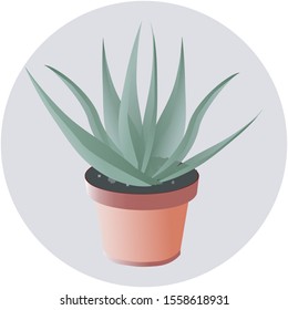 Aloe Vera isolated on white photo-realistic vector
