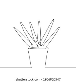 Aloe vera isolated on white background. Continuous one line drawing. Vector illustration in line art style