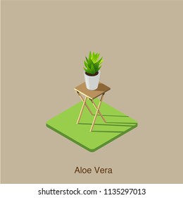 Aloe Vera isometric vector art.