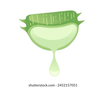 Aloe vera with juice drop green plant ready for medical treatment vector illustration isolated on white background