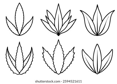 Aloe Vera Juice Line Art Illustration Design Style
