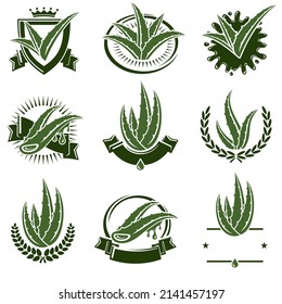 Aloe Vera labels and elements set. Collection icon Aloe Vera. Vector