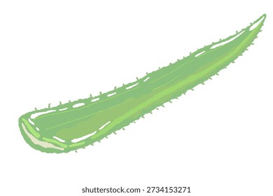 Hoja de Aloe Vera con Gel de Goteo