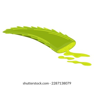 Aloe vera leaf with a drop of juice. Medicinal plant.  Ingredient for Cosmetic Products, printing and web. Vector cartoon illustration isolated on the white background. 