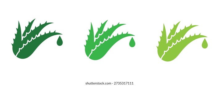 Ícones de folha de Aloe vera em diferentes tons verdes com gota de água. Planta de Aloe vera e ícones de folha Vetor. 
