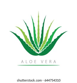 Aloe Vera with leaves.