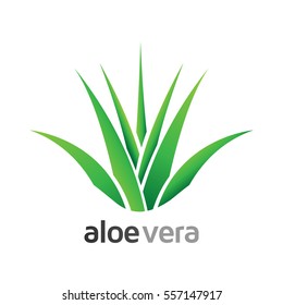 Aloe Vera with leaves logo, label, badge - Design for Products - Isolated