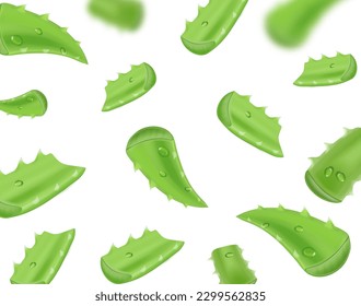 Aloe vera, hojas y rodajas cayendo. Planta realista Aloe sobre fondo blanco. Vector