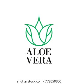 Aloe vera line icon or logo design. Vector