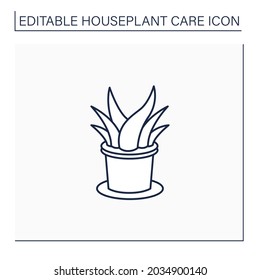 Aloe vera line icon.Perennial evergreen plant-xerophyte.Used in medicine, perfumery and cosmetology. Beautiful home plant in pot. Houseplant care concept.Isolated vector illustration.Editable stroke
