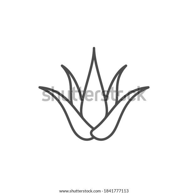 Aloe vera line outline\
icon