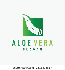 Aloe Vera Logo Design Simple Illustration Health Herbal Plant Grass