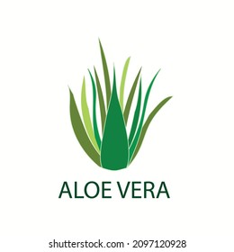 Plantilla de diseño del logo de Aloe vera, ilustración del vector