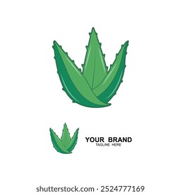 Aloe Vera Logo, Health Leaf Vector, Design Suitable For Beauty Salon, Organic Recycling, Skin Health Leaf