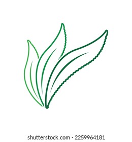 Aloe Vera logo icon design symbol beauty skin care