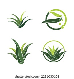 Aloe Vera logo icon design symbol beauty skin care