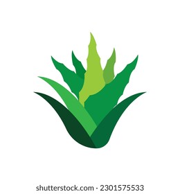 Aloe Vera logo icon design symbol beauty skin care