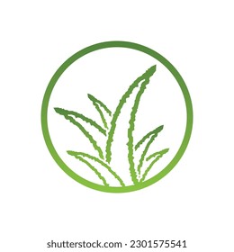 Aloe Vera logo icon design symbol beauty skin care