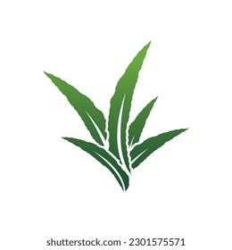 Aloe Vera logo icon design symbol beauty skin care