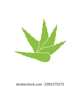 Aloe Vera logo icon design symbol beauty skin care