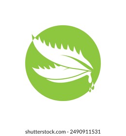 Aloe Vera logo icon design symbol beauty skin care