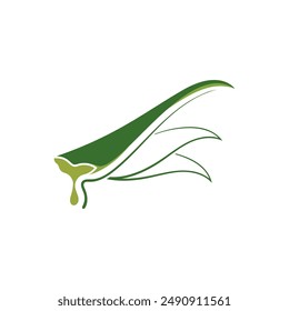 Aloe Vera logo icon design symbol beauty skin care
