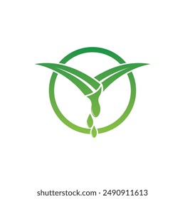 Aloe Vera logo icon design symbol beauty skin care