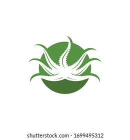 aloe vera logo icon vector illustration design template