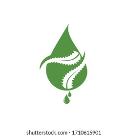 aloe vera logo icon vector illustration design template 