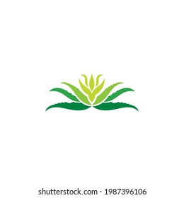 Logo de Aloe Vera
diseño simple y limpio