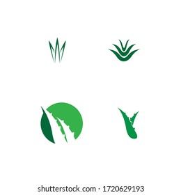 aloe vera logo stock illustration design