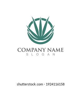 Aloe vera logo and symbol vector
