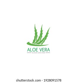 Aloe vera logo and symbol vector