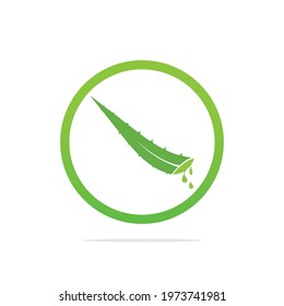Aloe Vera logo template. Green leaf aloe vera label