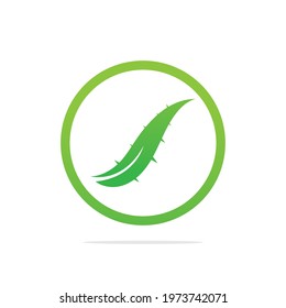 Aloe Vera logo template. Green leaf aloe vera label