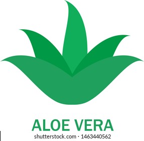 Aloe vera logo vector. Icon isolated on white background. Aloe vera flat logo style for sticker, label, leaf icon and element design. Aloe vera green plant, vector illustration