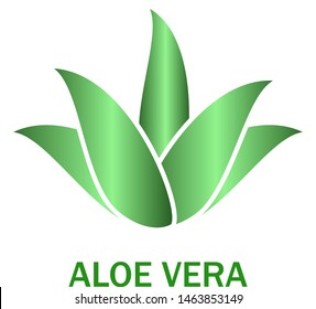 Aloe vera logo vector. Icon isolated on white background. Aloe vera flat logo style for sticker, label, leaf icon and element design. Aloe vera green plant, vector illustration