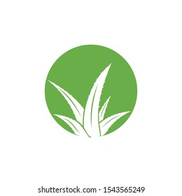 Aloe Vera logo vector icon  concept