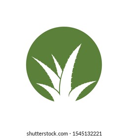 Aloe Vera logo vector icon  concept