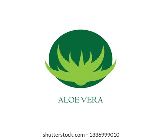 Aloe vera  logo vector illustration template - Vector - Vector

