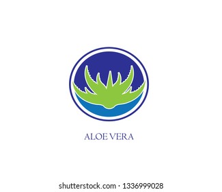 Aloe vera  logo vector illustration template - Vector - Vector

