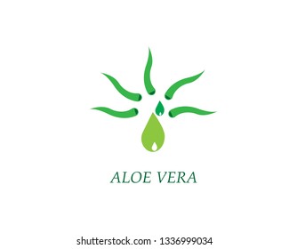 Aloe vera  logo vector illustration template - Vector - Vector

