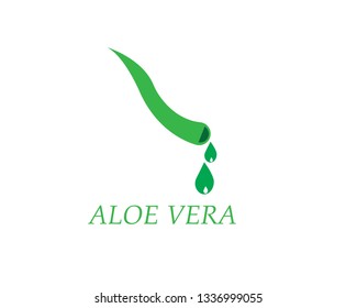 Aloe vera  logo vector illustration template - Vector - Vector

