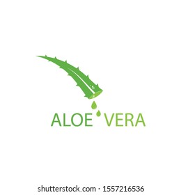 Aloe vera logo vector illustration template