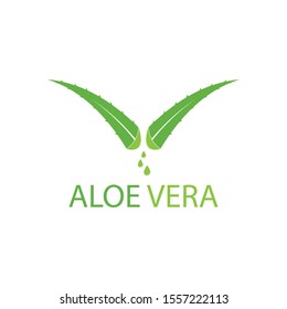 Aloe vera logo vector illustration template