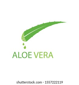 Aloe vera logo vector illustration template