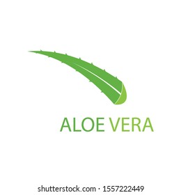 Aloe vera logo vector illustration template