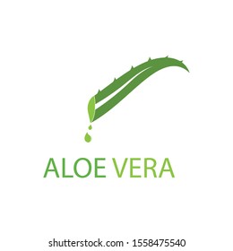 Aloe vera logo vector illustration template